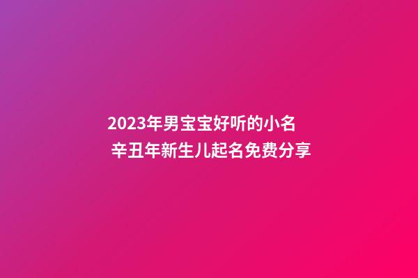 2023年男宝宝好听的小名 辛丑年新生儿起名免费分享